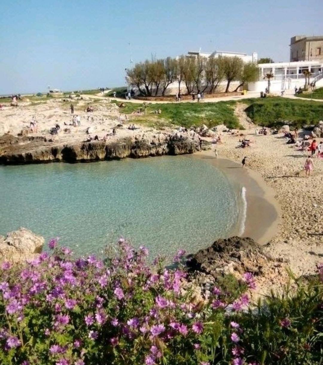 Bed and Breakfast Da Luigi Locazioni Brevi Turistiche Monopoli Exterior foto